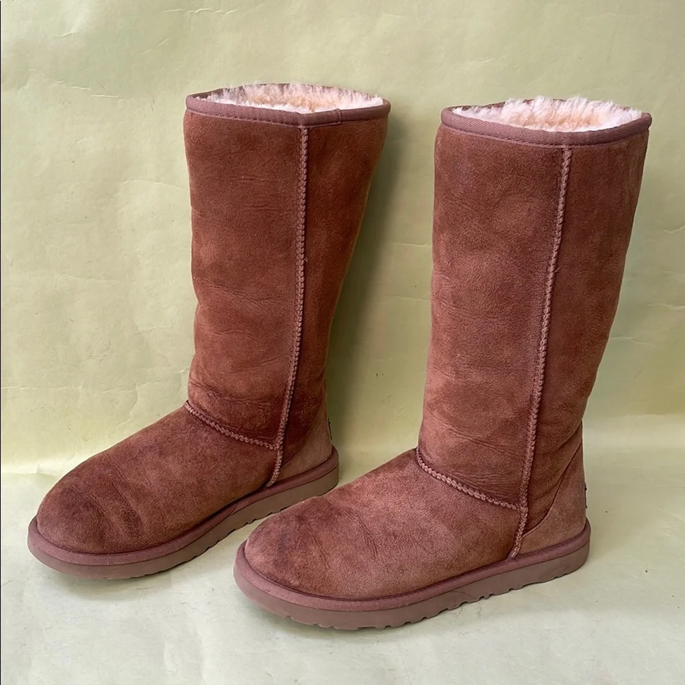 UGG Light Brown Winter Boots Plush Suede